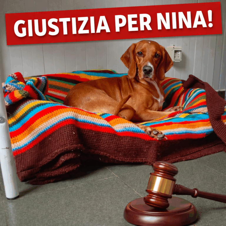 Giustizia per Nina!