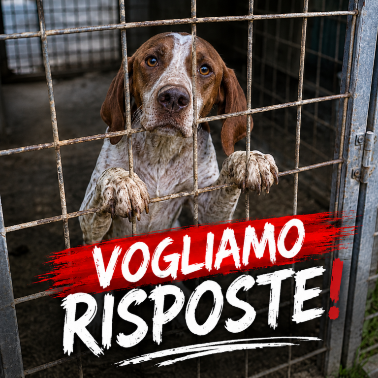 Vogliamo risposte!