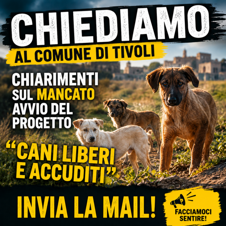Vogliamo risposte per i cani delle cave di Tivoli!