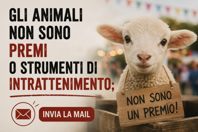 Gli animali non sono premi