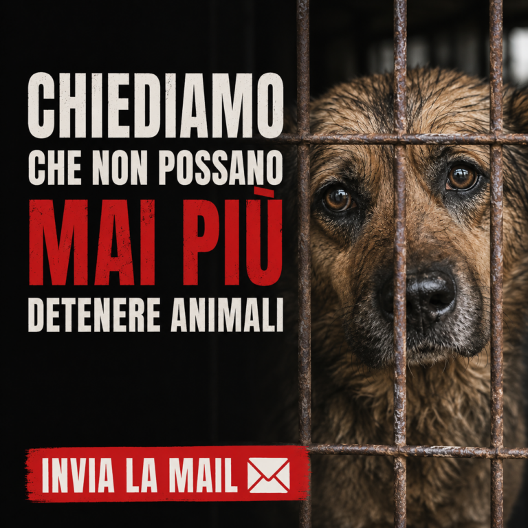 Chiediamo che non possano mai più detenere o allevare animali