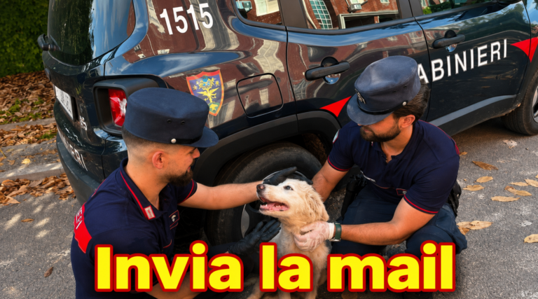 Scarica rifiuti e abbandona un cucciolo in strada