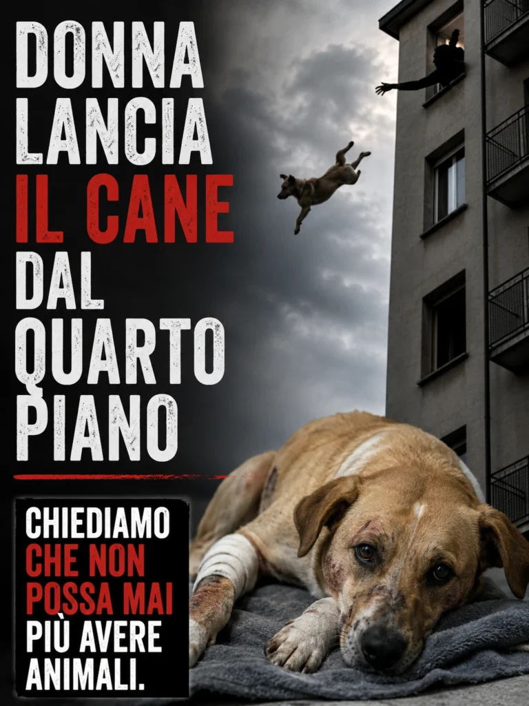 Lancia il cane dal quarto piano