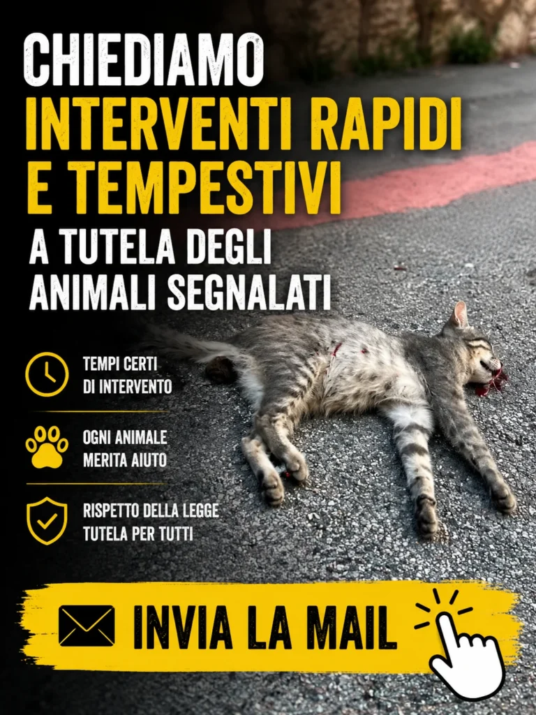 Chiediamo interventi tempestivi per gli animali segnalati