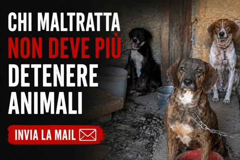 CHIEDIAMO TUTELA E GIUSTIZIA