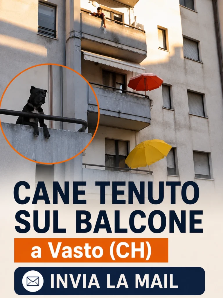 Cane lasciato su un balcone