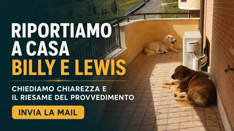 Richiesta di riesame e restituzione dei cani Billy e Lewis