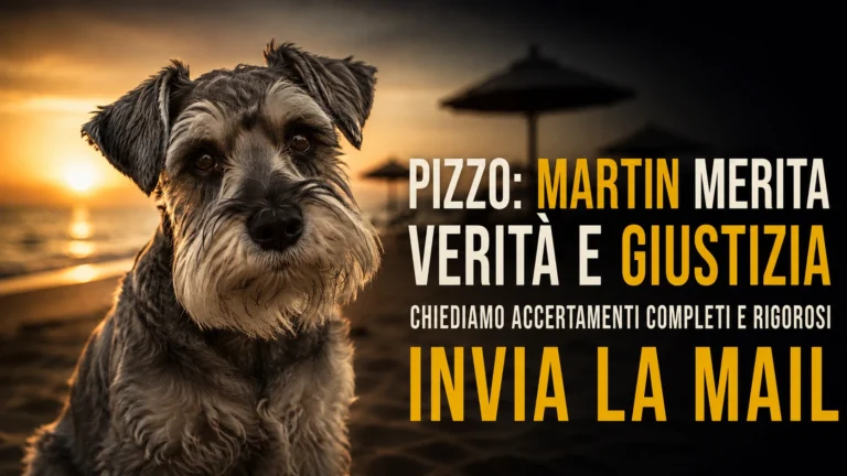 Cagnolina uccisa in spiaggia
