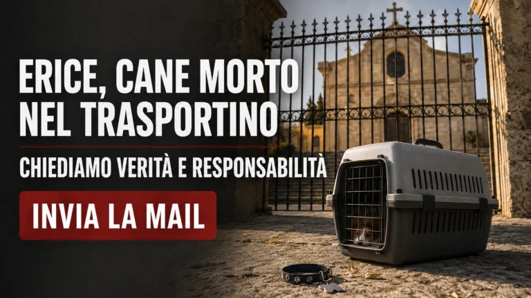 Cane morto nel trasportino a Erice