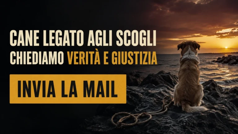 Chiediamo accertamenti sulla morte del cane legato agli scogli