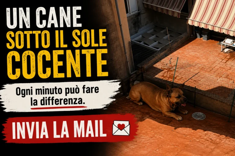 Chiediamo un intervento urgente
