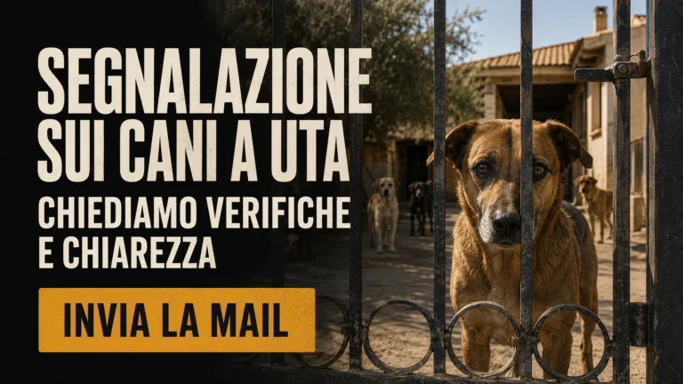Richiesta di verifica sulla gestione della segnalazione presso la Stazione Carabinieri di Uta