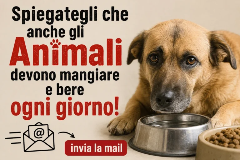 I cani devono mangiare e bere ogni giorno!
