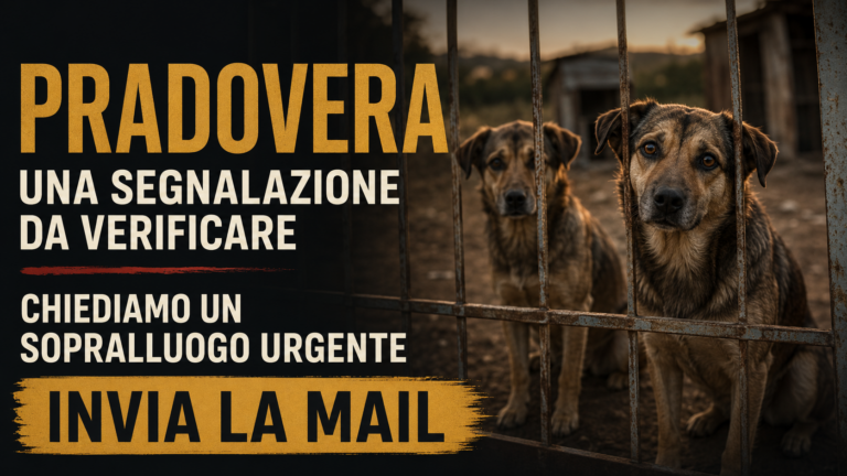 Richiesta urgente di verifica sulle condizioni di alcuni cani a Pradovera