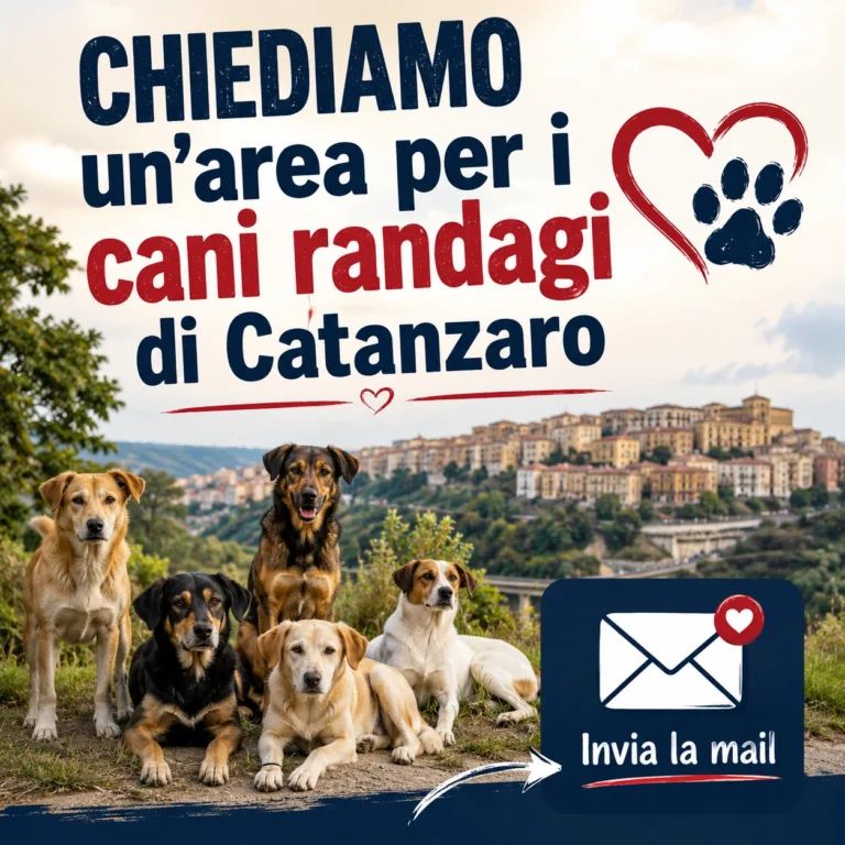CHIEDIAMO un’area idonea per l’accudimento dei cani