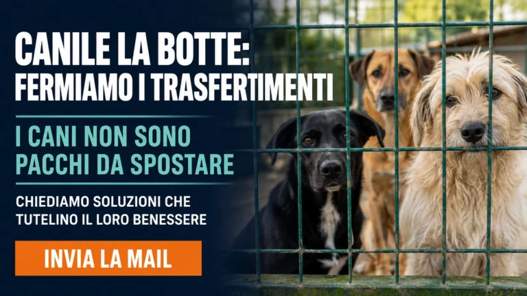 I CANI NON SONO PACCHI DA SPOSTARE