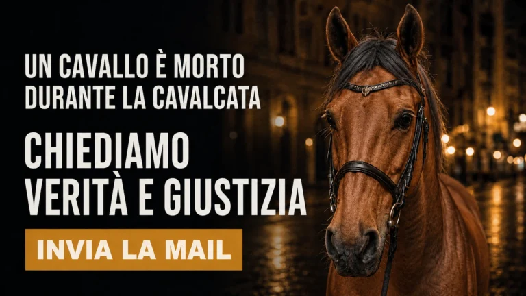 Richiesta chiarimenti sulla morte del cavallo durante la Cavalcata dei Re Magi