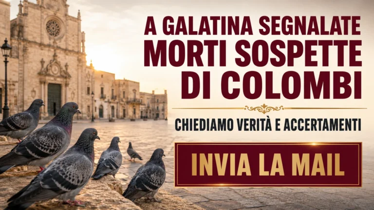 Presunta moria di colombi a Galatina e richiesta urgente di accertamenti