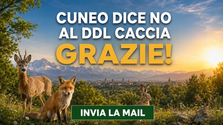 Ringraziamento alla Città di Cuneo per la posizione contro il DDL Caccia