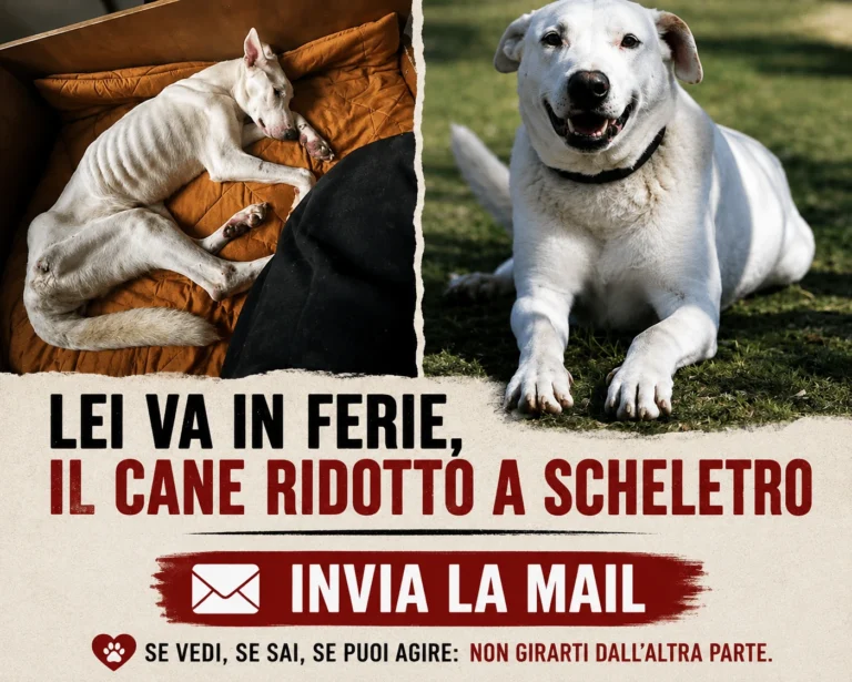 Siamo stanchi di questa malvagità