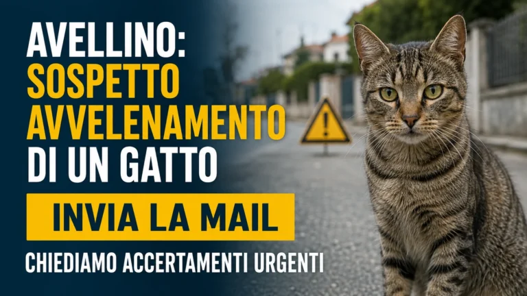 Richiesta urgente di accertamenti sui presunti avvelenamenti di animali ad Avellino