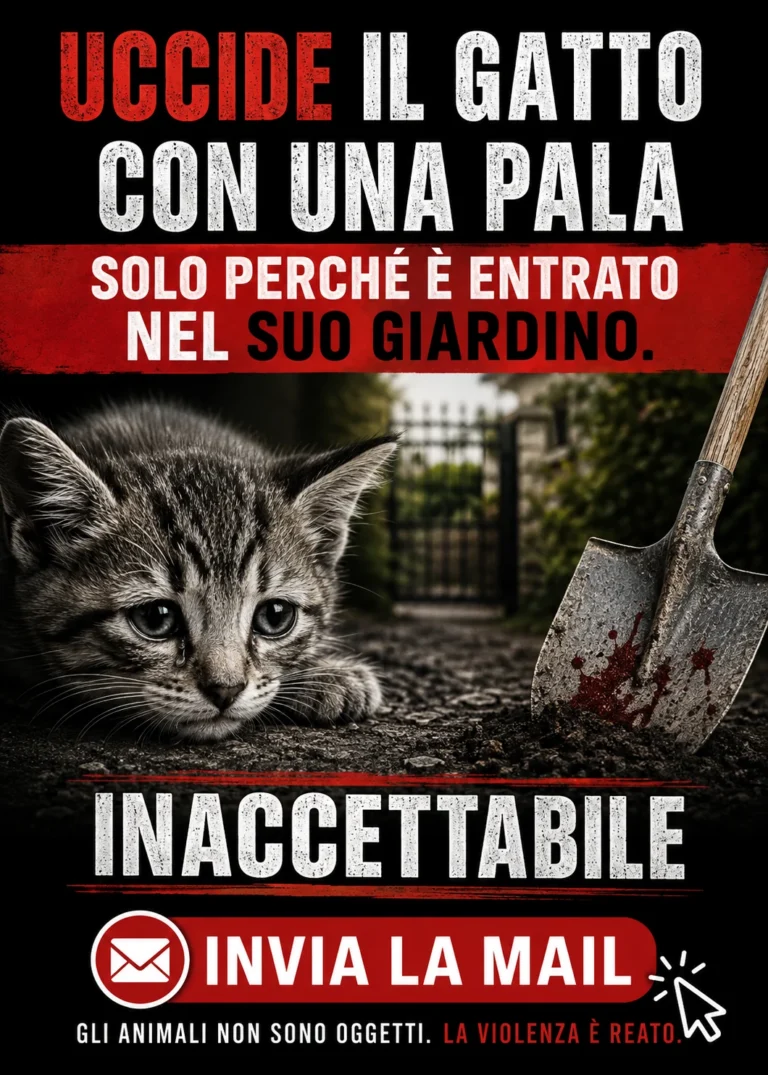 Uccide il gatto con una pala