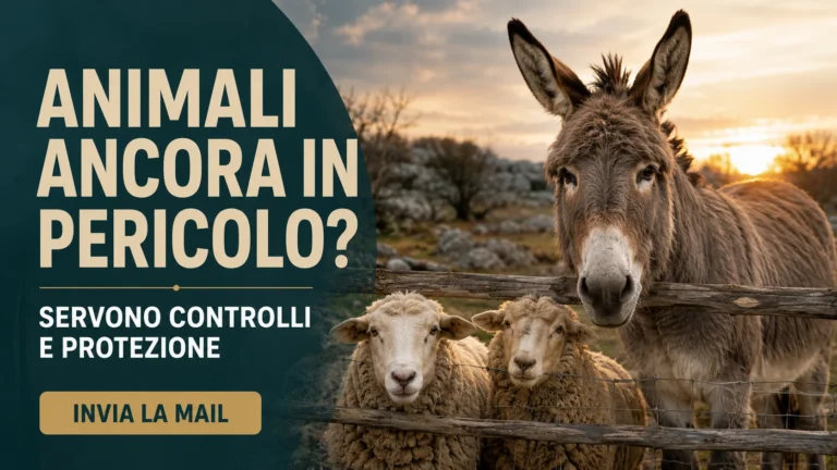 Condizioni di asini e pecore al parco del Globojner di Padriciano