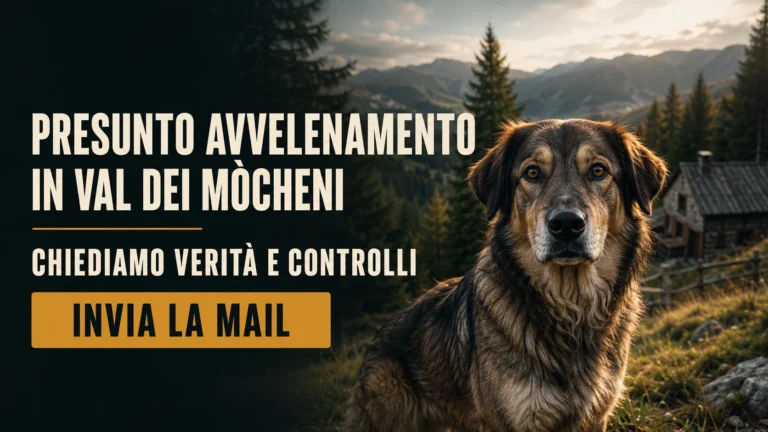 Richiesta di accertamenti sul presunto avvelenamento di un cane in Val dei Mòcheni