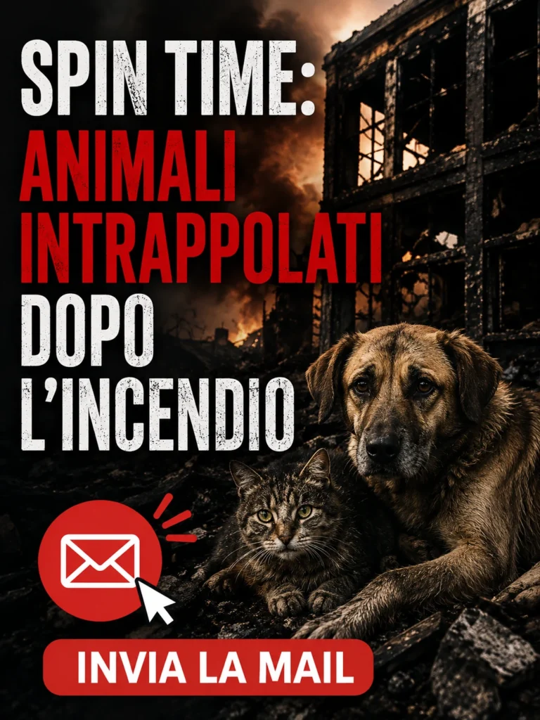 Animali intrappolati dopo l’incendio