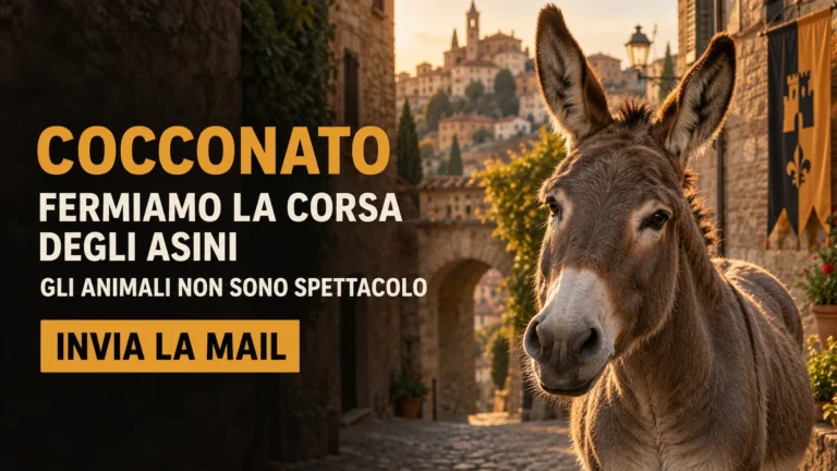 Richiesta di annullamento della corsa degli asini del Palio di Cocconato