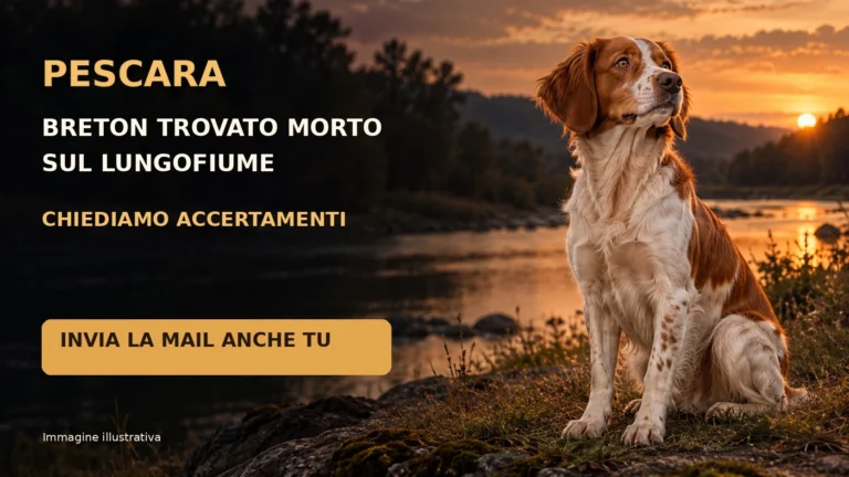 Richiesta di accertamenti sulla morte di un cane trovato sul lungofiume di Pescara