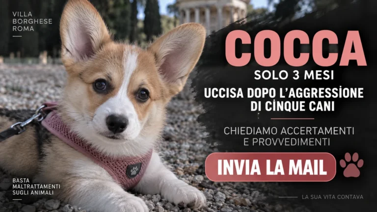 Villa Borghese richiesta accertamenti sulla morte della cucciola Cocca
