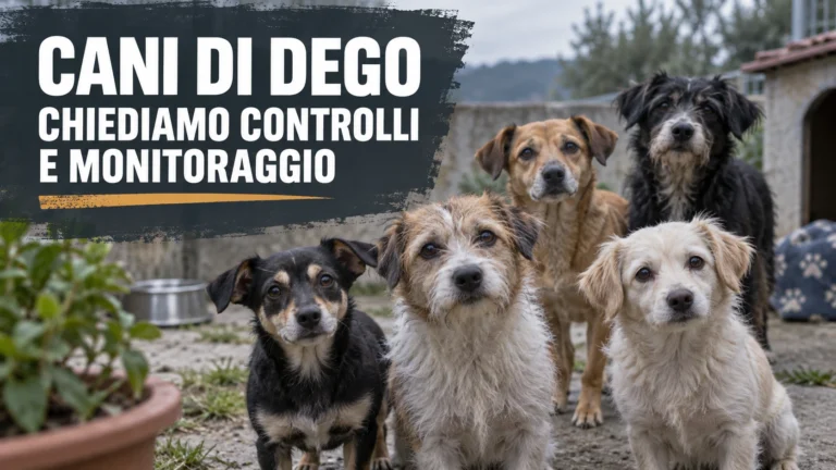 Richiesta urgente di aggiornamenti e monitoraggio continuativo sui cani di Dego
