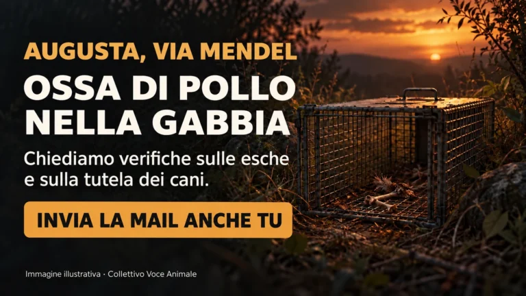 Richiesta di accertamenti sulla gabbia per la cattura di cani in via Mendel ad Augusta