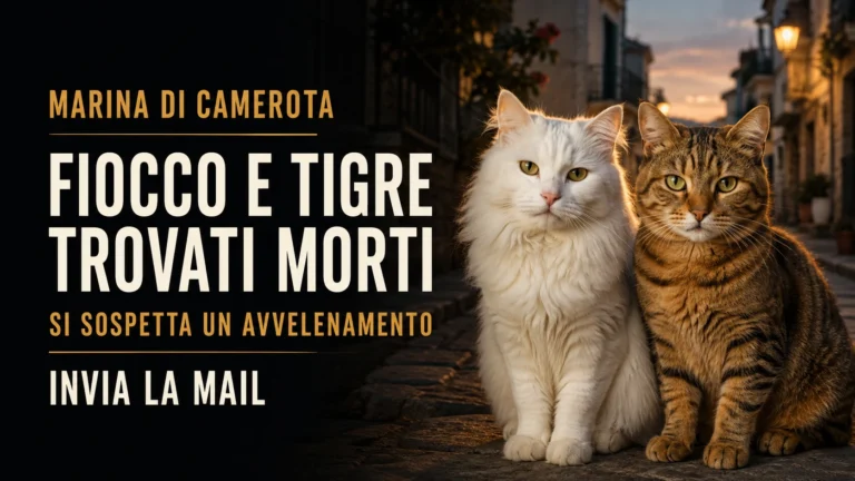 Richiesta urgente di accertamenti sui presunti avvelenamenti di gatti a Marina di Camerota