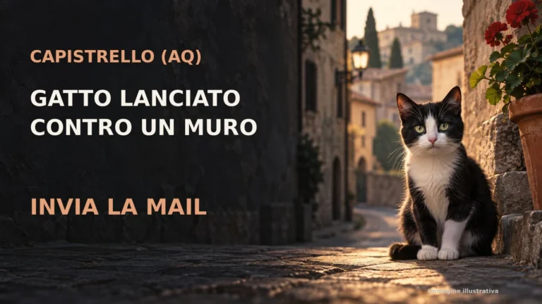 Capistrello (AQ): gatto lanciato contro un muro, richiesta di accertamenti e interventi di tutela
