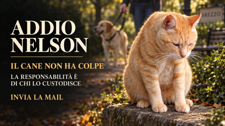 Richiesta di accertamenti sulla morte del gatto Nelson a Villa Severi