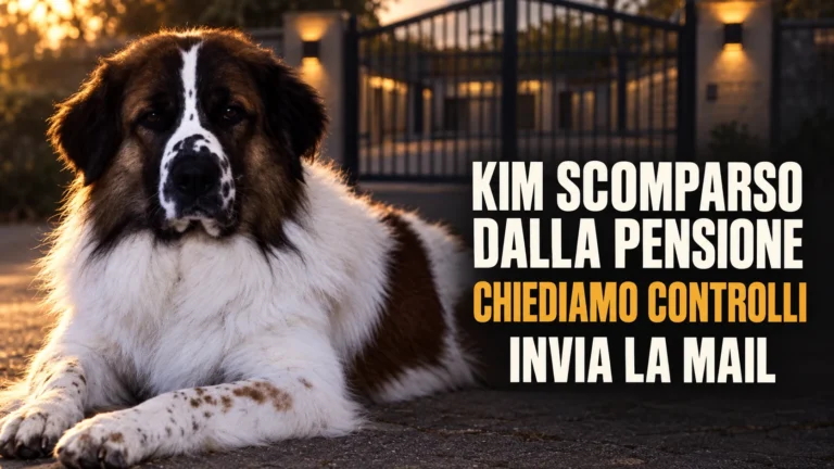 Richiesta di controlli presso una pensione per animali nella zona Casermette di Foggia