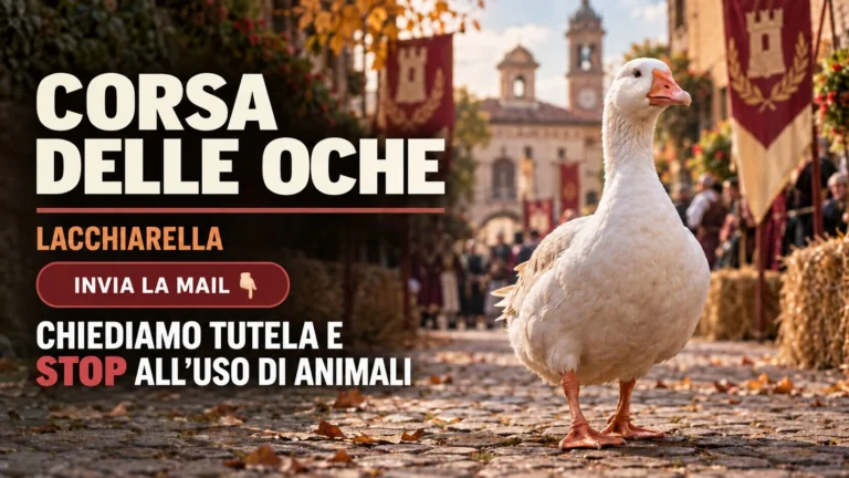 Palio dell’Oca di Lacchiarella: richiesta di tutela degli animali e superamento del loro impiego