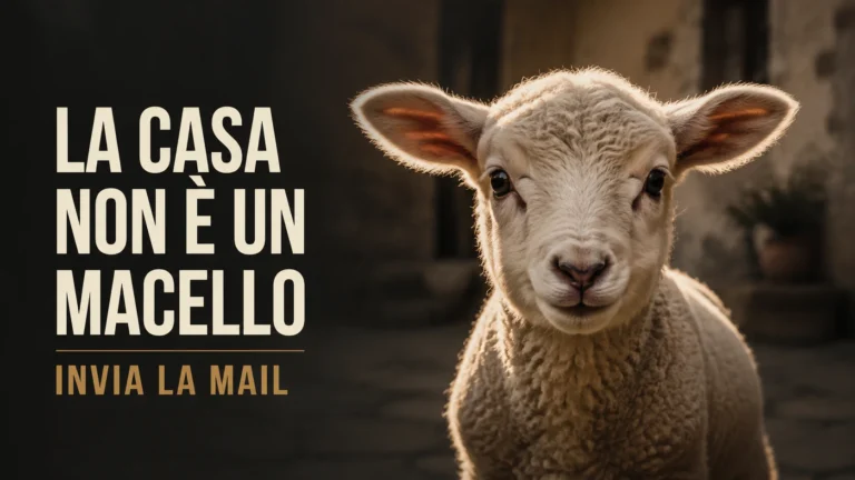 Richiesta di revisione e controlli sulla macellazione domestica a Valsamoggia