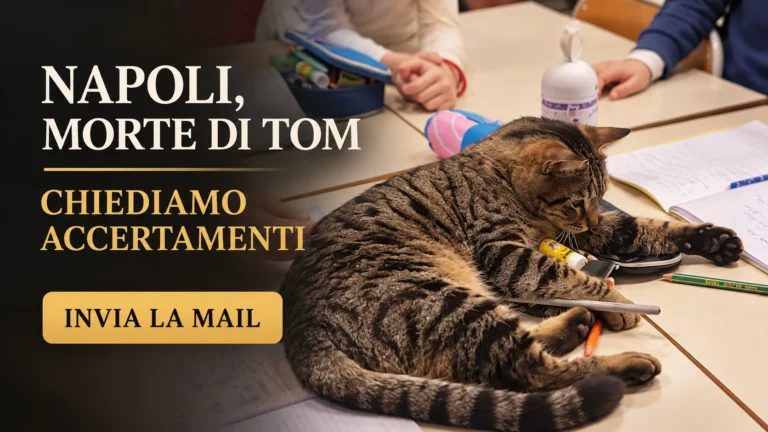 Richiesta di accertamenti sulla morte del gatto Tom a Napoli