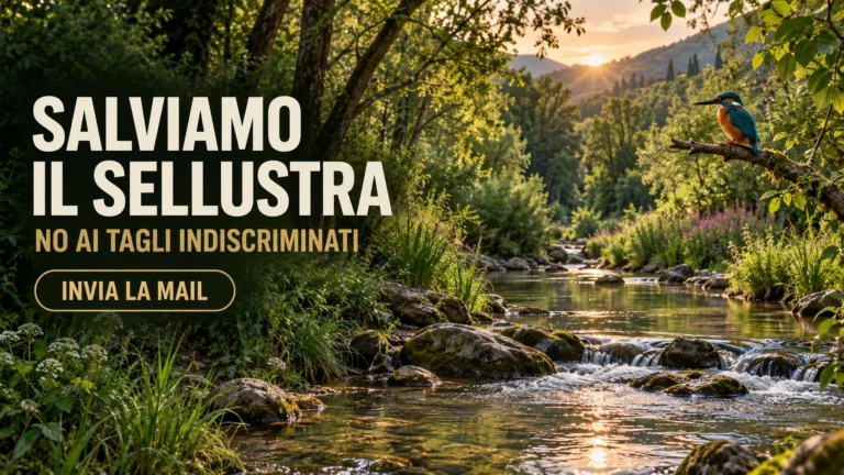 Revisione del taglio della vegetazione lungo il torrente Sellustra – Elisabetta