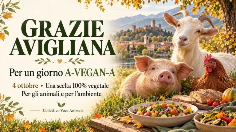 Ringraziamento per la promozione di una giornata 100% vegetale