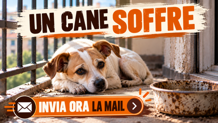 Richiesta di nuovi accertamenti sulle condizioni di detenzione di un cane a Castrovillari