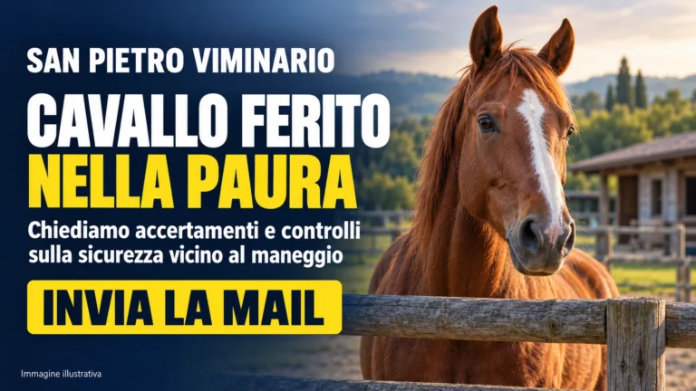 San Pietro Viminario – richiesta di accertamenti e misure di sicurezza presso il maneggio di via Valdolmo Prima Strada