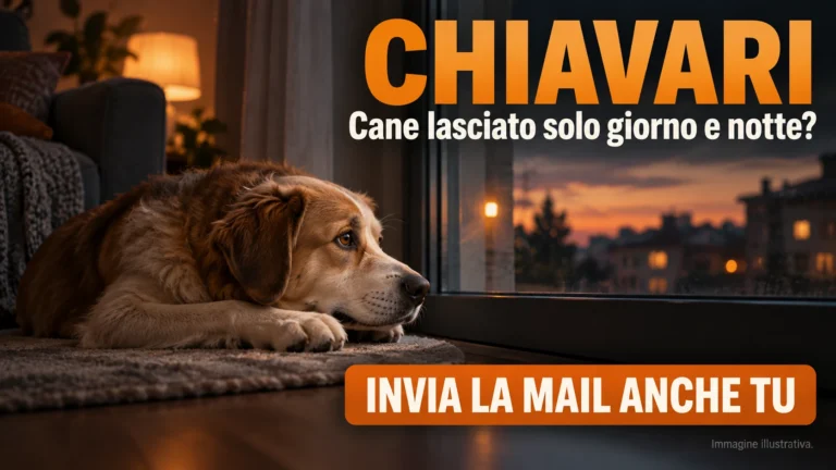 Richiesta di accertamenti sulle condizioni di un cane a Chiavari