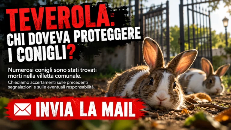 TEVEROLA (CE) – CONIGLI SBRANATI NELLA VILLETTA COMUNALE – RICHIESTA ACCERTAMENTI