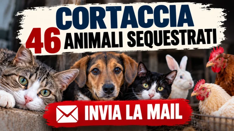 Richiesta di accertamenti e aggiornamenti sulla tutela degli animali sequestrati a Cortaccia e Termeno