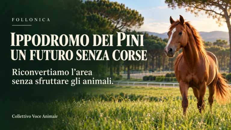 Ippodromo dei Pini di Follonica: richiesta di riconversione senza impiego di animali e chiarimenti sulle spese pubbliche