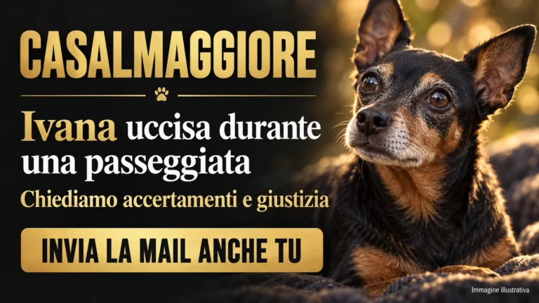 Richiesta di accertamenti sulla morte della cagnolina Ivana a Vicomoscano di Casalmaggiore